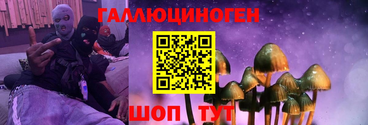 Выкса  Псилоцибиновые грибы Psilocybe  Вход с VPN  Галлюциногенные грибы мицелий 